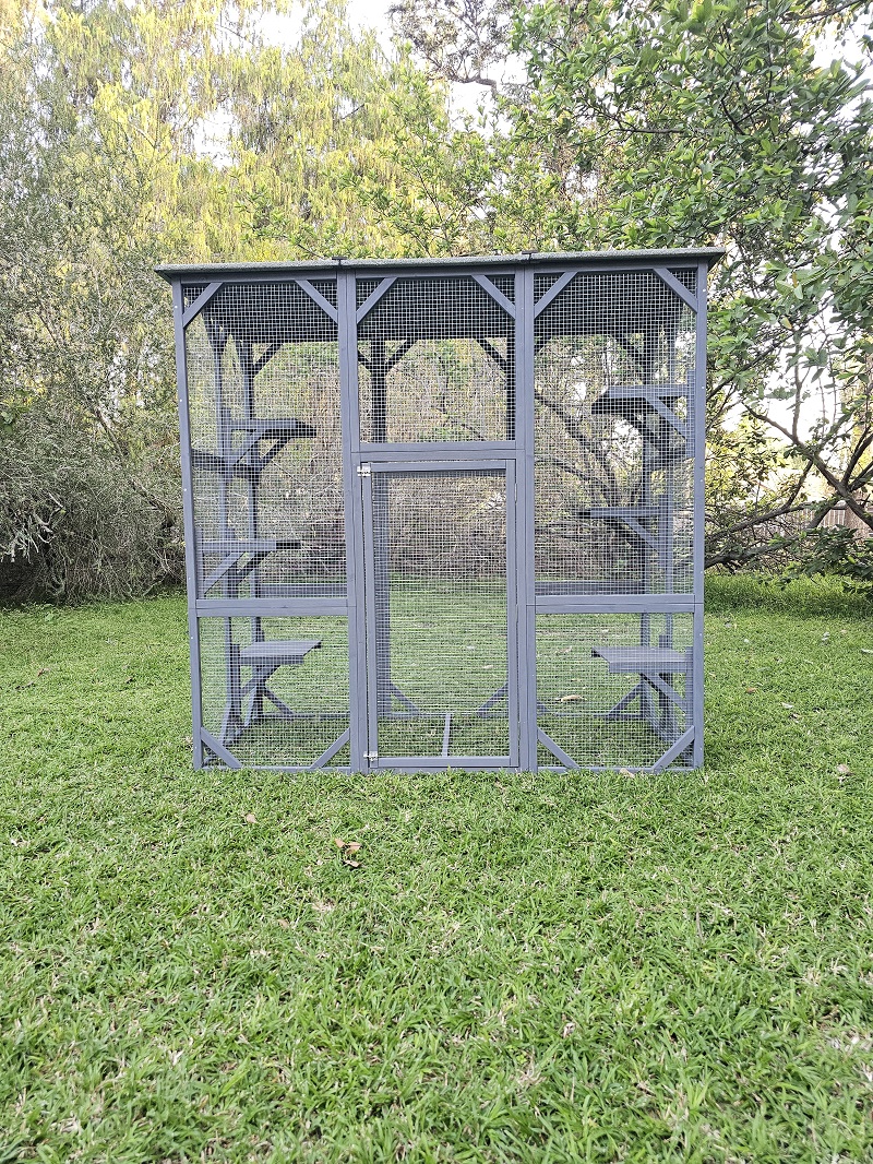 קאטיו קומפקט – תמונה 7