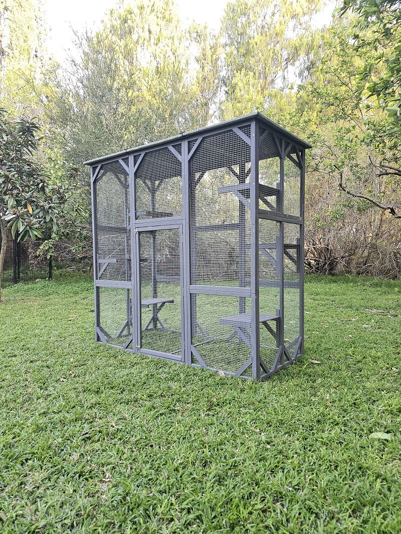 קאטיו קומפקט – תמונה 6