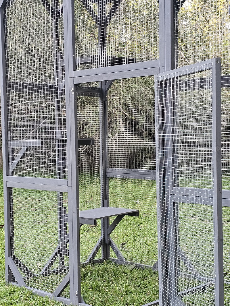 קאטיו קומפקט – תמונה 2