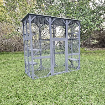 קאטיו קומפקט