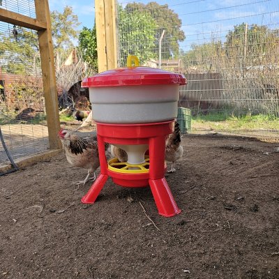 כלי האכלה חסכוני 30 ליטר