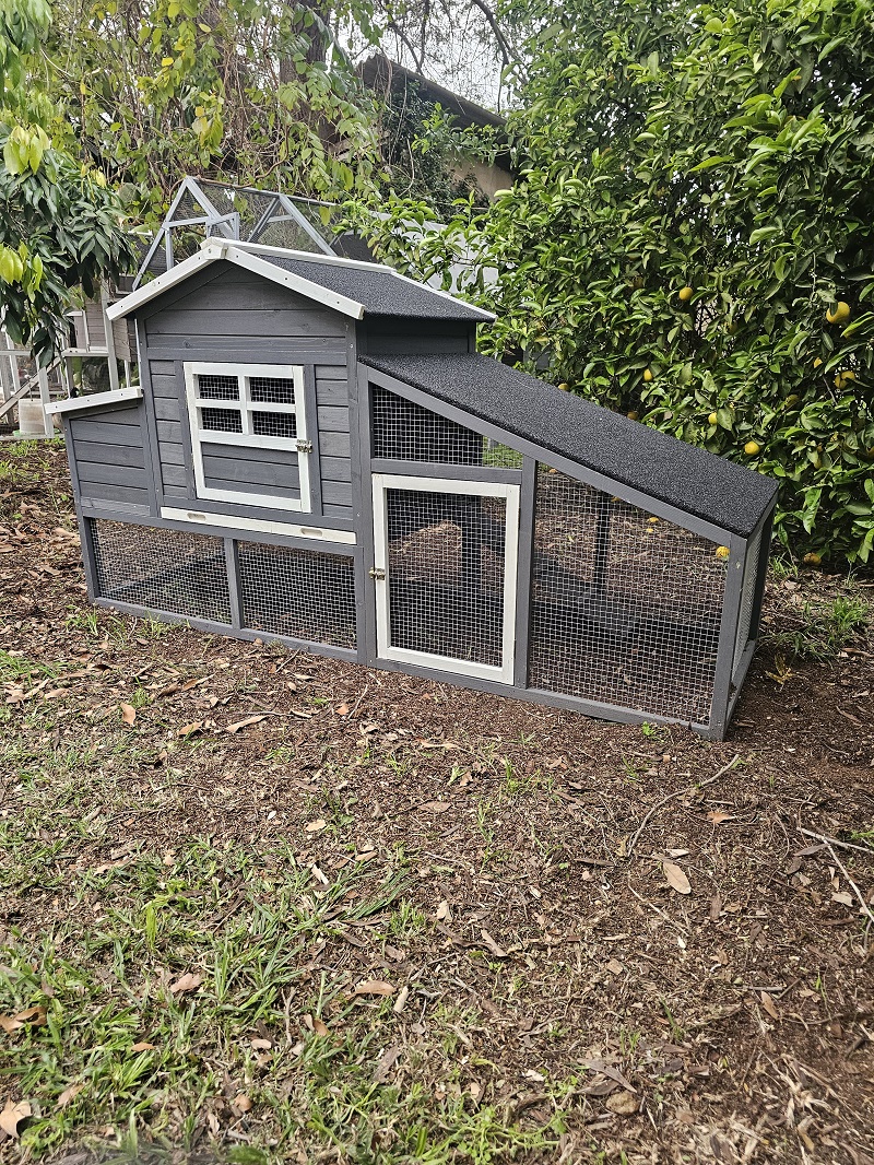 חבילת התחלה אחראית לגידול תרנגולות – לול בית החווה – תמונה 2