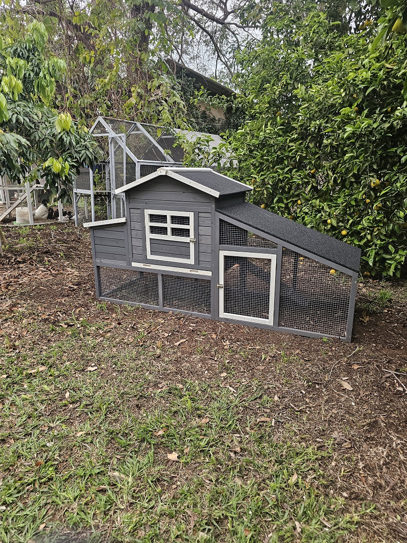 חבילת התחלה אחראית לגידול תרנגולות – לול בית החווה – תמונה 3