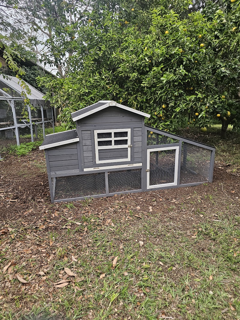 חבילת התחלה אחראית לגידול תרנגולות – לול בית החווה – תמונה 4