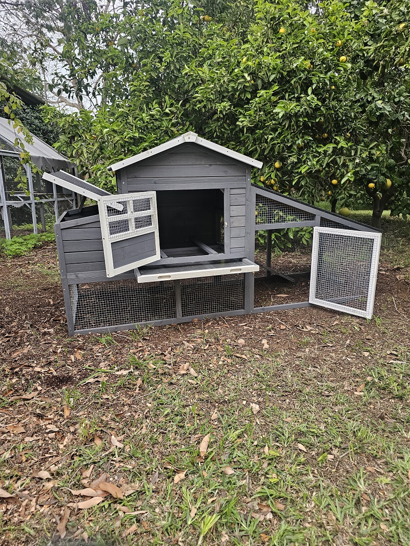 חבילת התחלה אחראית לגידול תרנגולות – לול בית החווה – תמונה 6