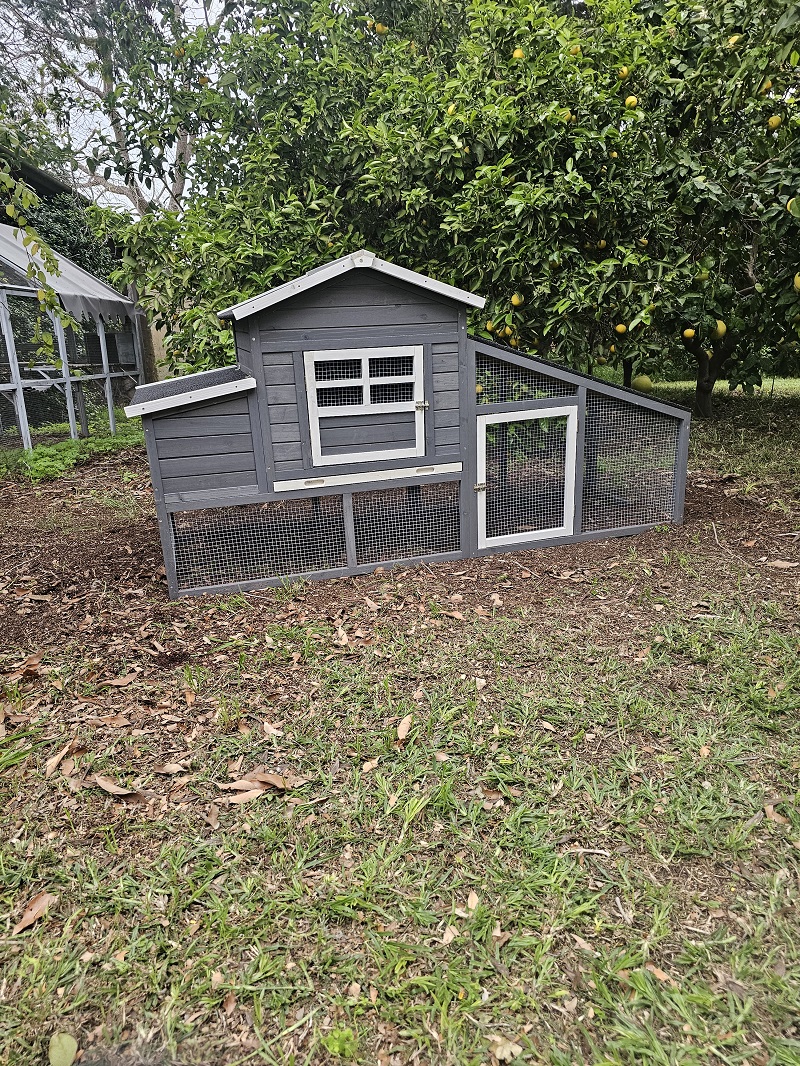 חבילת התחלה אחראית לגידול תרנגולות – לול בית החווה – תמונה 7