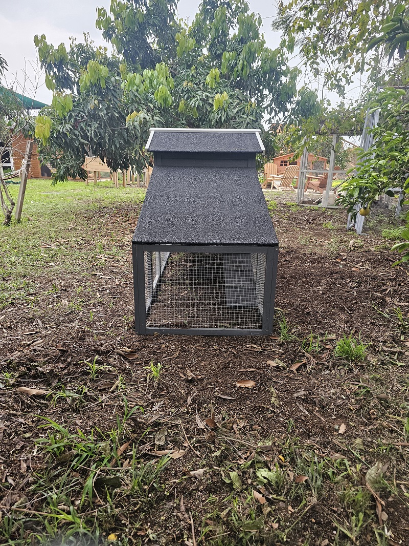 חבילת התחלה אחראית לגידול תרנגולות – לול בית החווה – תמונה 8