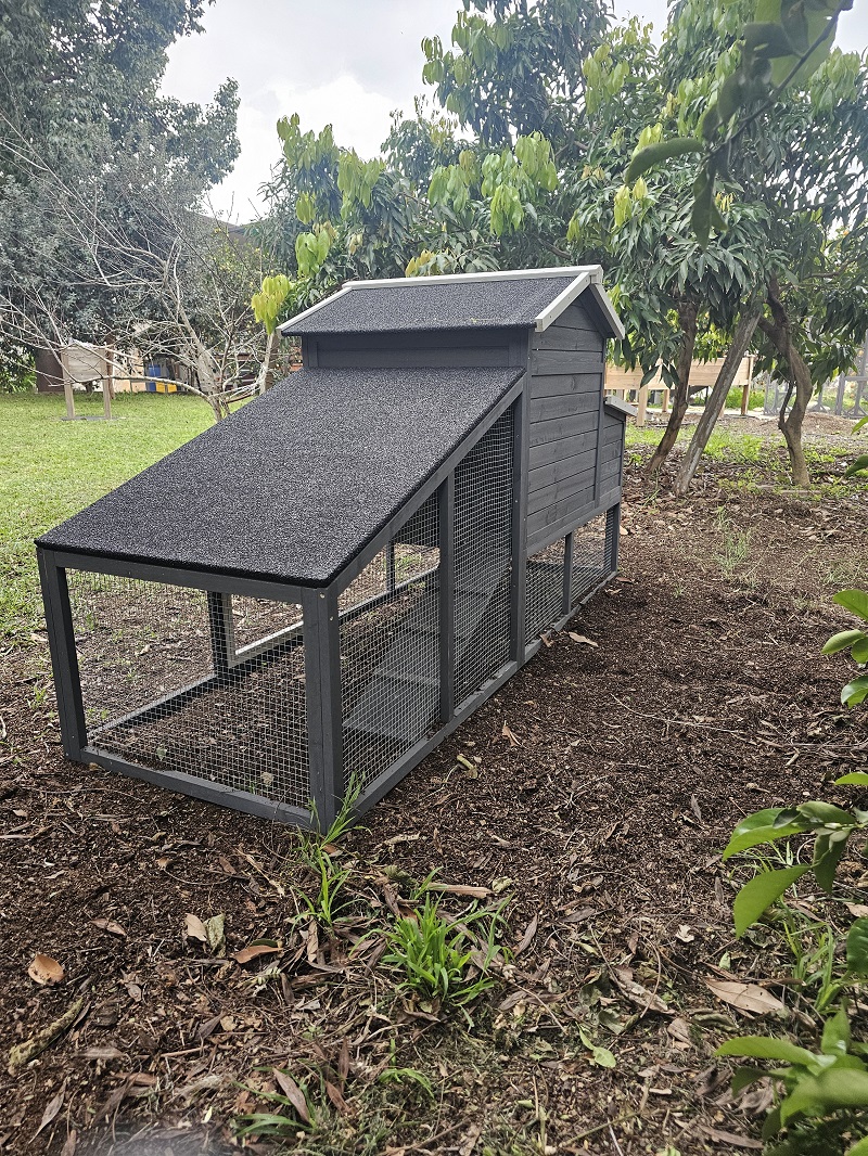 חבילת התחלה אחראית לגידול תרנגולות – לול בית החווה – תמונה 9