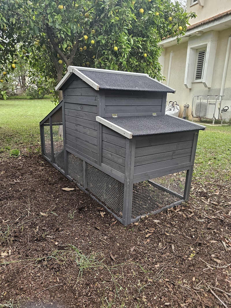 חבילת התחלה אחראית לגידול תרנגולות – לול בית החווה – תמונה 10