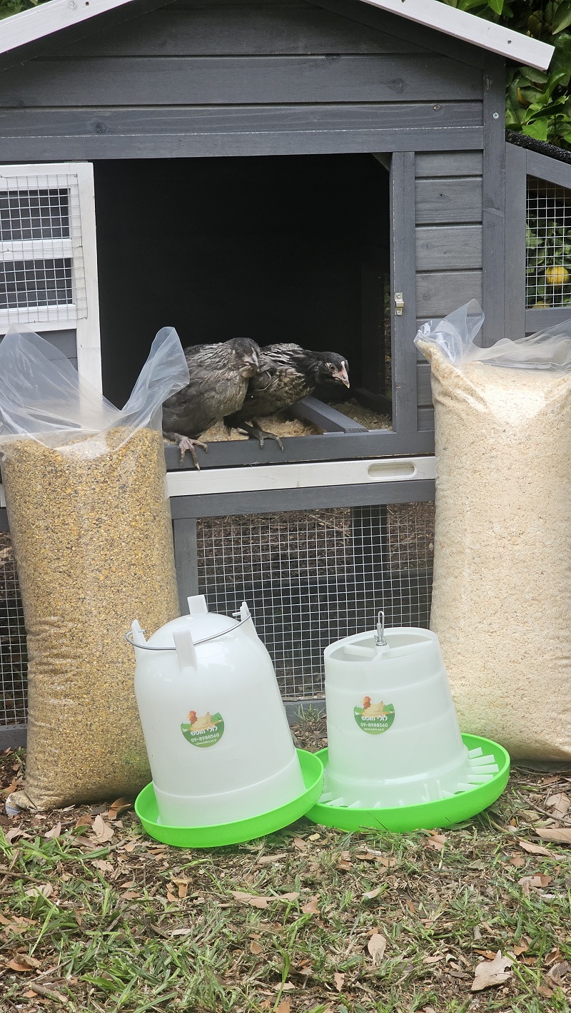 חבילת התחלה אחראית לגידול תרנגולות – לול בית החווה – תמונה 14