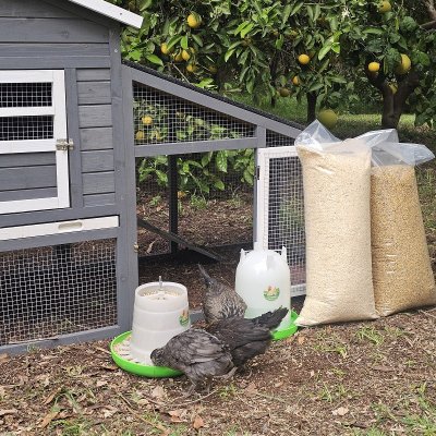 חבילת התחלה אחראית לגידול תרנגולות – לול בית החווה