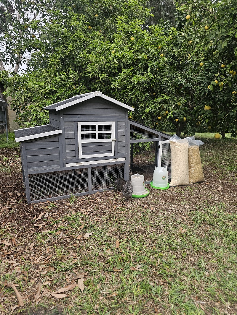 חבילת התחלה אחראית לגידול תרנגולות – לול בית החווה – תמונה 16