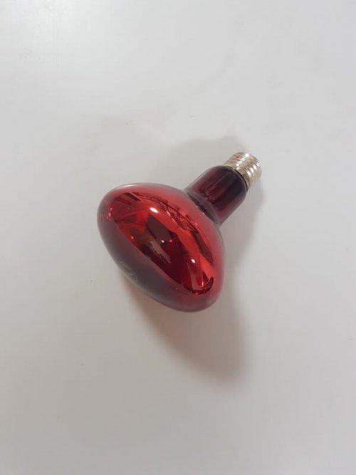 נורת חימום אינפרא אדום 150 וואט