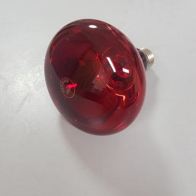 נורת חימום אינפרא אדום 150 וואט