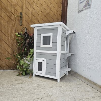 לונה מחסה לחתולים בשתי קומות