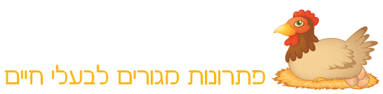 לולי חופש